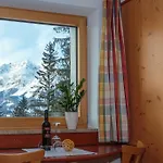 Apartment Woehrer Schladming